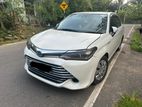 Axio Hybrid car for rent