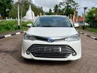 Axio Hybrid for Rent