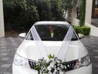 Axio Hybrid for Wedding Hire