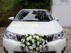 Axio Hybrid Wedding Car for Hire