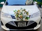 Axio Hybrid Wedding Car for Hire