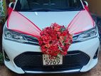 Axio Hybrid Wedding Car for Hire