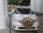 Axio hybrid wedding car for Hire