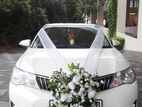 Axio Hybrid Wedding Car for Hire