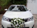 Axio hybrid wedding car for Hire