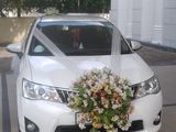 Axio hybrid wedding car for Hire