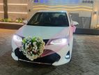 Axio Hybrid Wedding Car for Hires