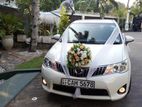 Axio Hybrid Wedding Car for Hires
