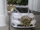 Axio Hybrid Wedding Car Hire