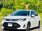 Axio Hybrid WXB Car for Rent