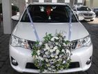 Axio Wedding Car for Hire