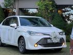 Toyota Axio Wedding Car