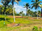 අයොජනයට අලුත්ගමින් හොඳම ඉඩමක්