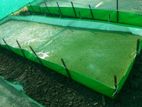Azolla Bed