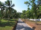 B. Residential land for sale Ragama