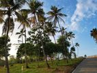 B Valuable land for sale in Ragama