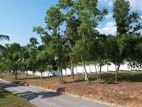 B Valuable Land for sale-Ragama