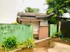 (b104) Single Storey House for Rent in Wattala