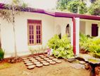 (B157) Single Storey House For Sale in Ragama