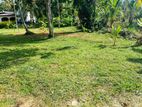 (B202) 20 Perch Land For Sale in Gampaha