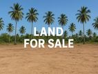 (B260) 24 Perch Land For Sale in Pugoda