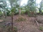 (B279) 14 Perch Land For Sale in Ganemulla