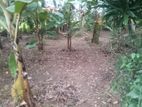 (B279) 14 Perch Land For Sale in Ganemulla