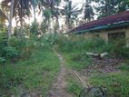 (B297) 10 Acres Land For Sale in Anuradhapura