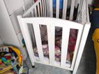 Baby Cot (Adjustable)