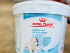 Baby Dog Milk Powder