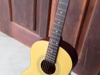 Syari Guitar