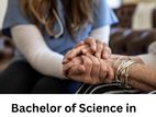 Bachelor of Science in Nursing