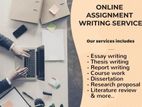 Bachelors and Masters Assignment Assistance