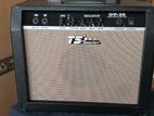 Back Amp Guitar Amplifier