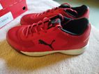 Badminton Shoes