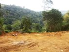Badulla : 360 perches Land for Sale at Kottagaharawa