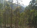 Badulla 83 Acres Land for Sale in Lunugala