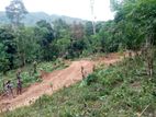 Badulla Land for Sale