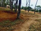 බැල්ලපිටිය හන්දිය ආසන්නයේන් වටිනා ඉඩම් ව්‍යාපෘතියක්