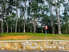 බැල්ලපිටිය හන්දියට නුදුරින් වටිනා බිම්කොටස් විකිනීමට