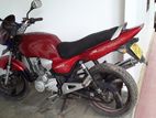 Bajaj Boxer 125 2019