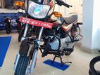 Bajaj CT100 100cc Brand new 31 2026