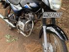 Bajaj CT100 2015