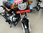 Bajaj CT100 2024 Brand New