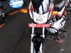 Bajaj CT100 2024 Brand New