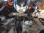 Bajaj CT100 2024