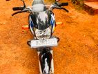 Bajaj CT100 2024