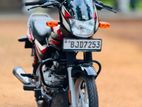 Bajaj CT100 2024