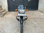 Bajaj CT100 2024