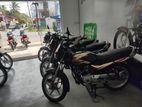 Bajaj CT100 2024